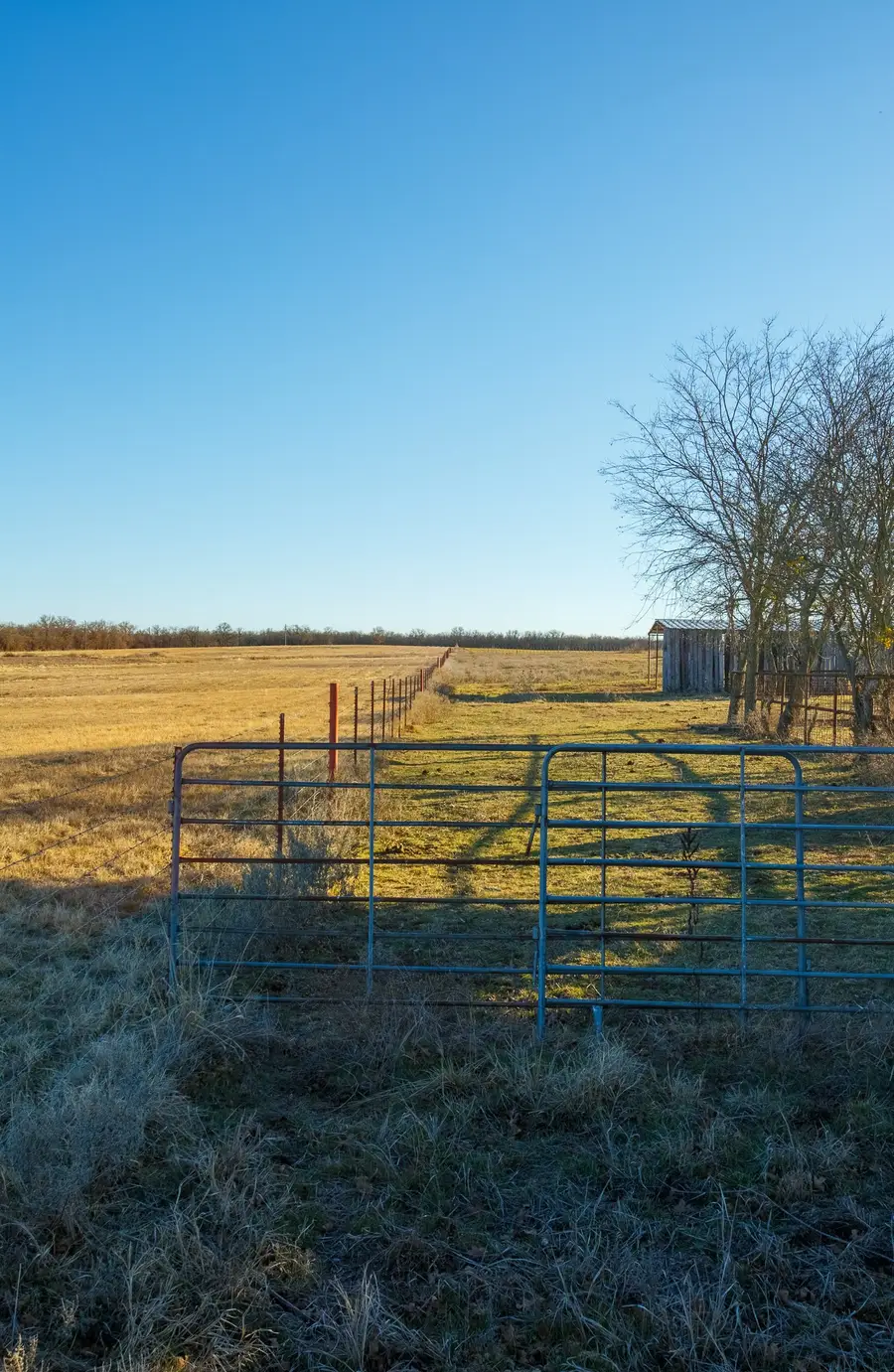 4312 Shawver Road, Perrin, TX 76486 - #3