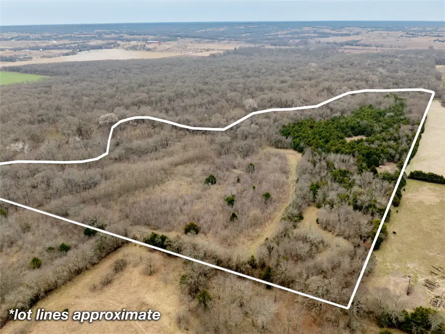 TBD County Road 618, Farmersville, TX 75442 - #2