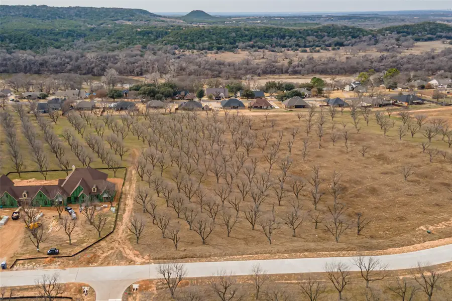3119 E Landings S, Granbury, TX 76049 - #2