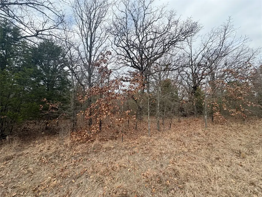 118 Pocahontas Street, Mabank, TX 75156 - #2