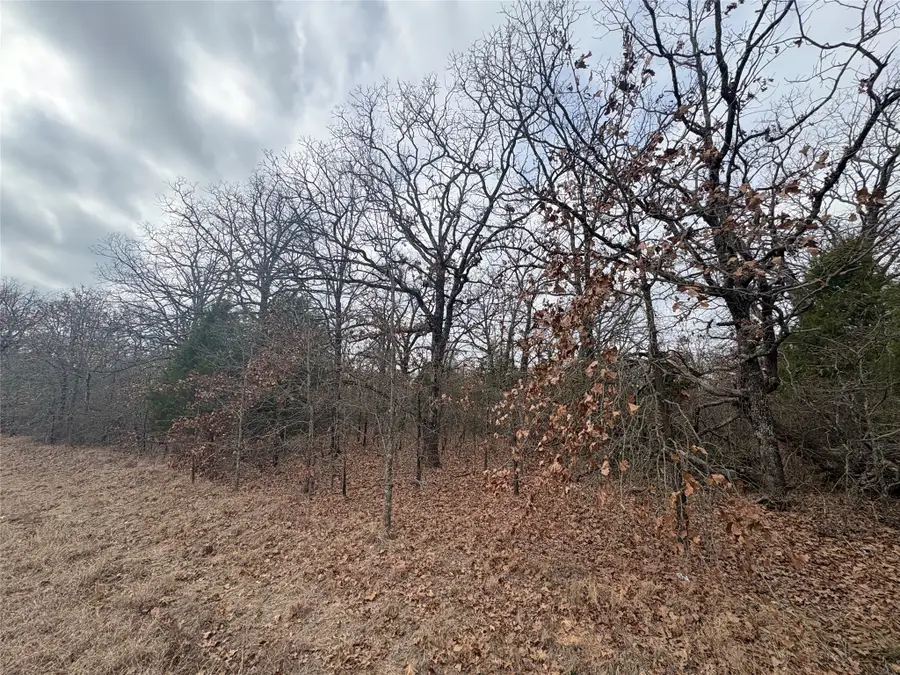 118 Pocahontas Street, Mabank, TX 75156 - #3