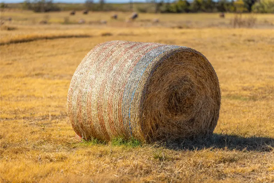 0000 TBD Cr-3741, Bridgeport, TX 76426 - #2