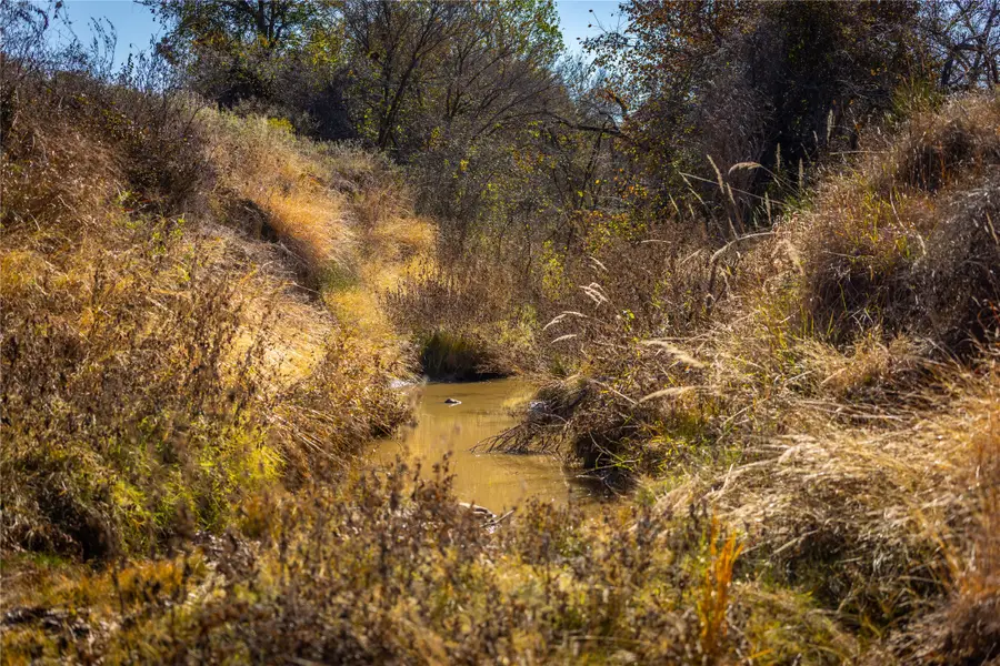 0000 TBD Cr-3741, Bridgeport, TX 76426 - #3