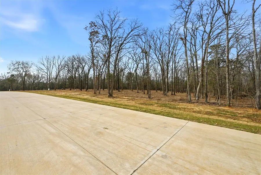 Lot 29 White Tail Way, Pottsboro, TX 75076 - #2
