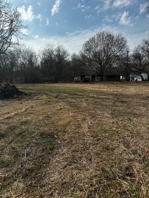 320 E Ford Street, Bells, TX 75414 - #3