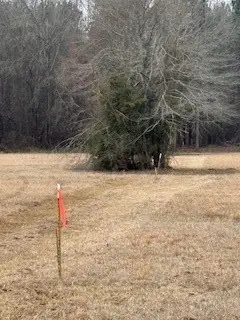 0 Bellevue Road #Lot 1, Haughton, LA 71037