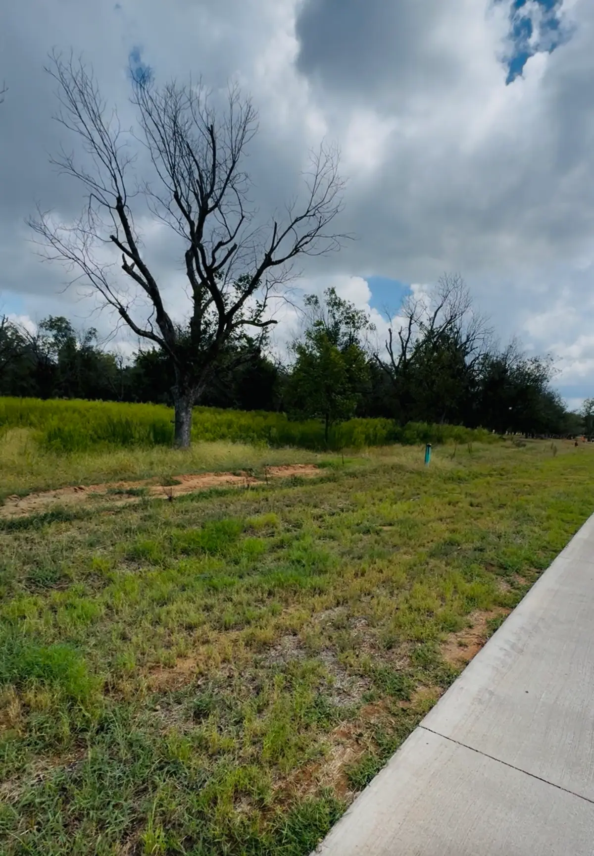 1036 E Landings N, Granbury, TX 76049 - #1