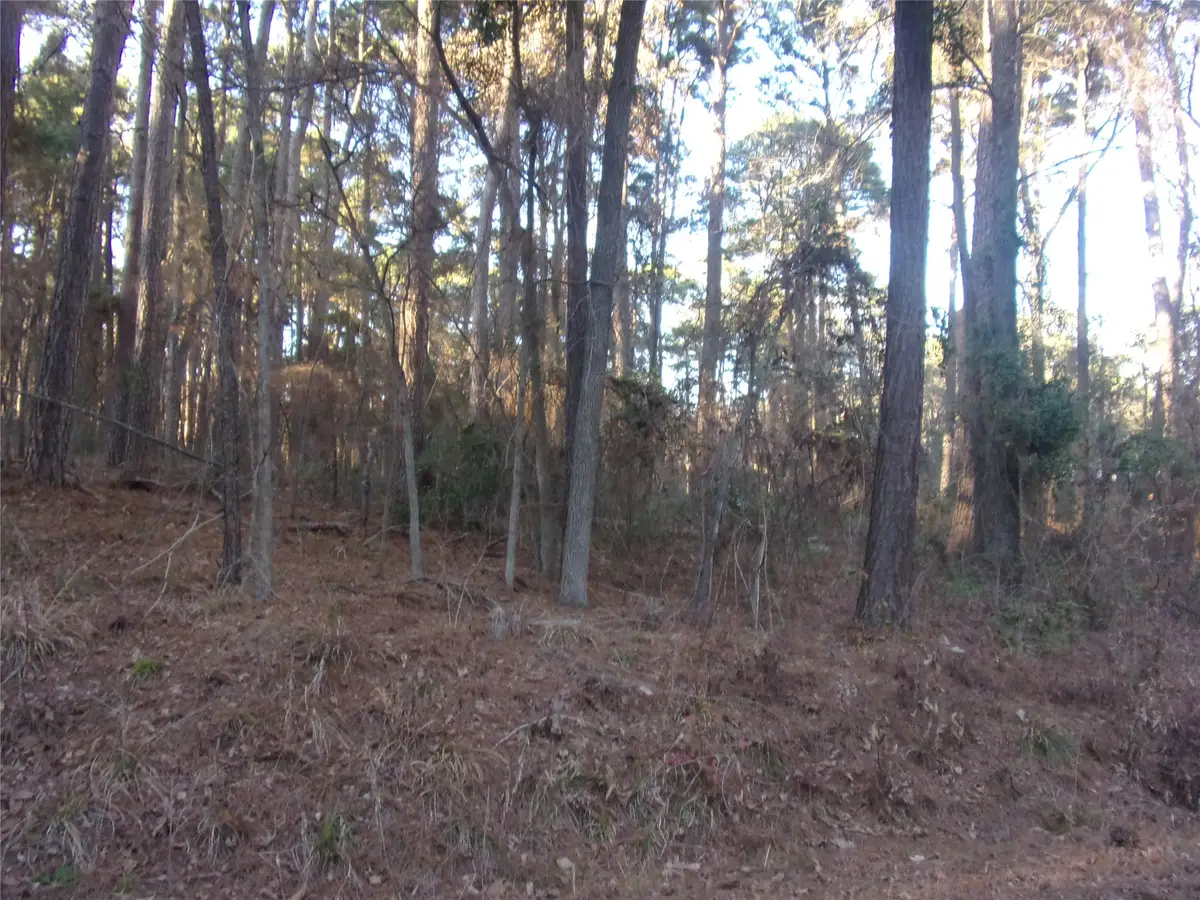 tbd Lake Side Drive, Flint, TX 75762 - #1