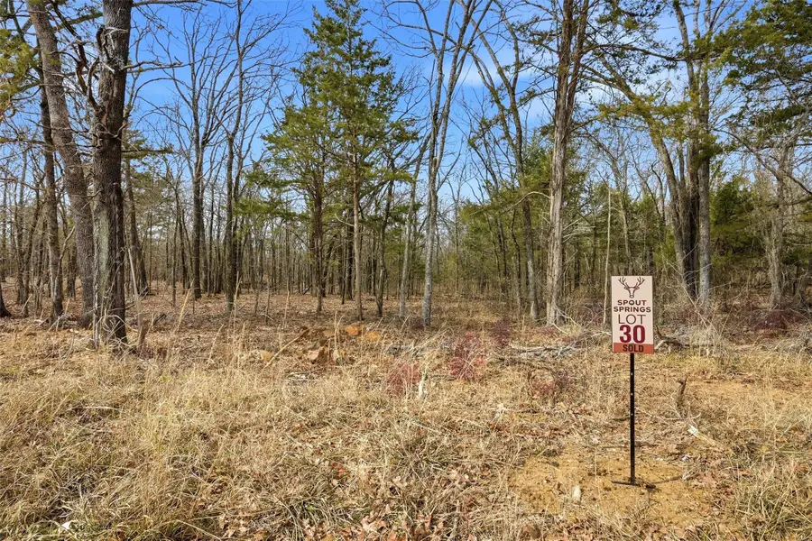 LOT 30 White Tail Way, Pottsboro, TX 75076 - #3