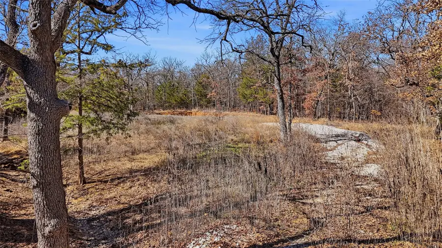 295 County Road 2251, Valley View, TX 76272 - #3