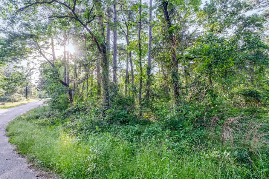 00 Forest Hill Drive, Frankston, TX 75763 - #3