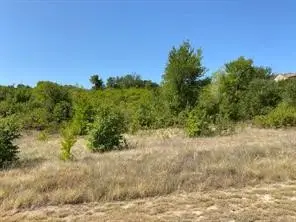 Lot 168 Canyon Wren N, Graford, TX 76449 - #1