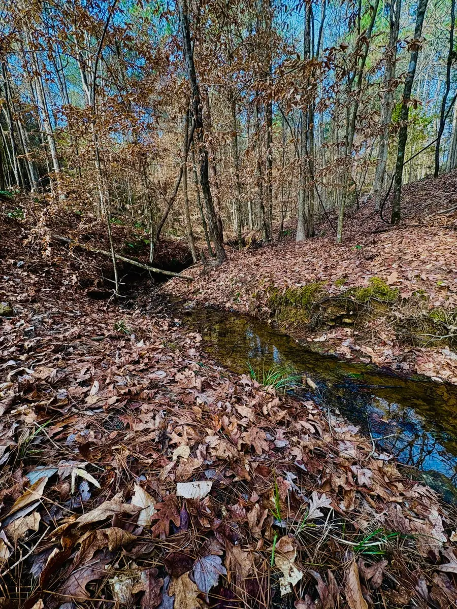 TBD (Lot 59) County Road 1060, Center, TX 75935 - #2