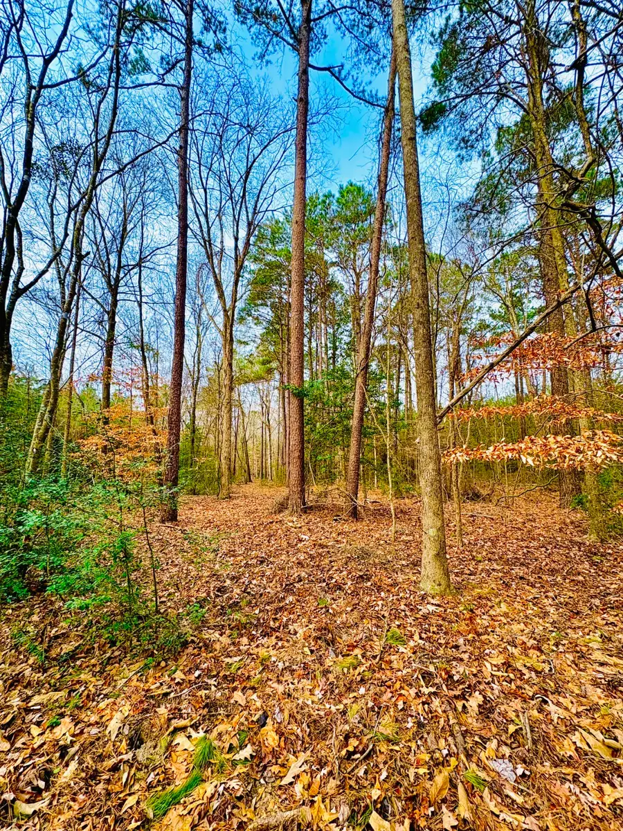 TBD (Lot 59) County Road 1060, Center, TX 75935 - #3