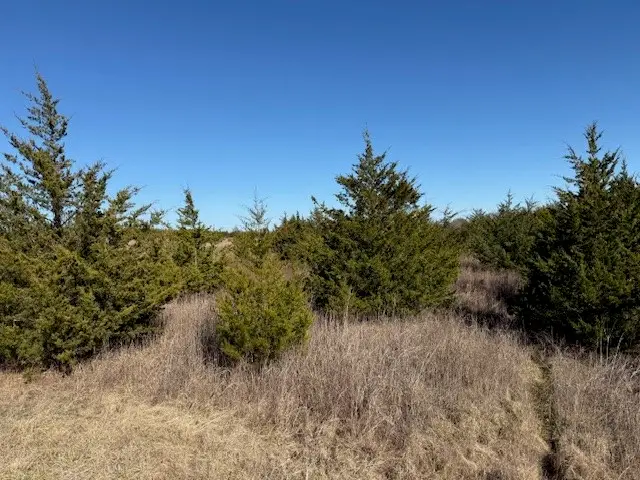 LOT 3 Cr 43380, Paris, TX 75462 - #2
