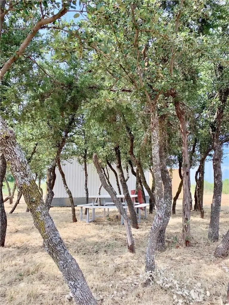 3574 E 180, Breckenridge, TX 76424 - #3