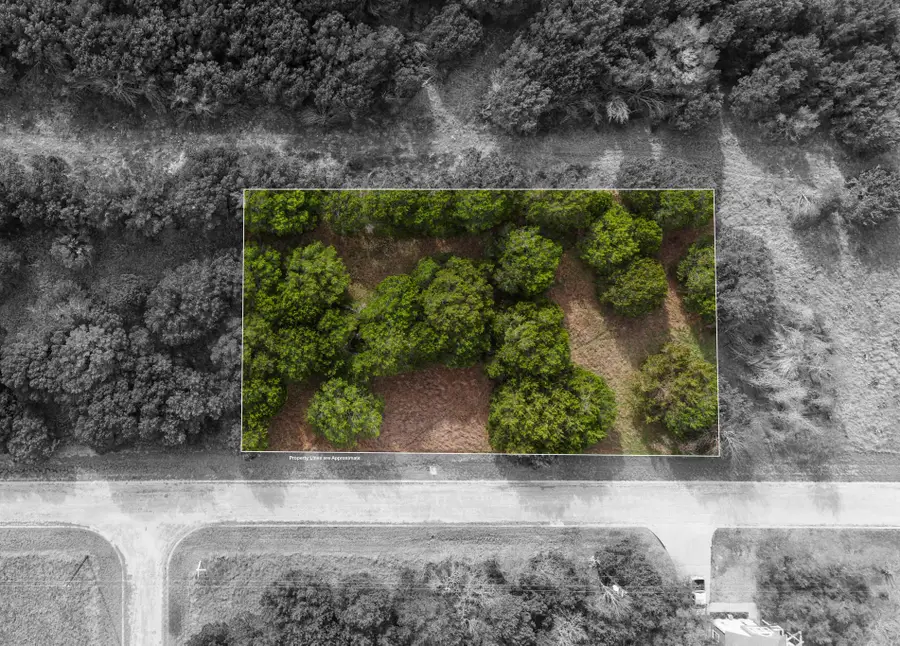 45025 Fringewood Drive, Whitney, TX 76692 - #2