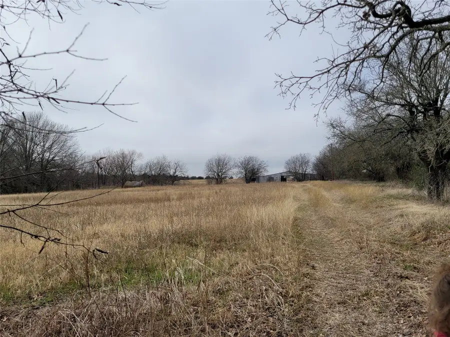 2232 County Road 415, Coyote Flats, TX 76031 - #2