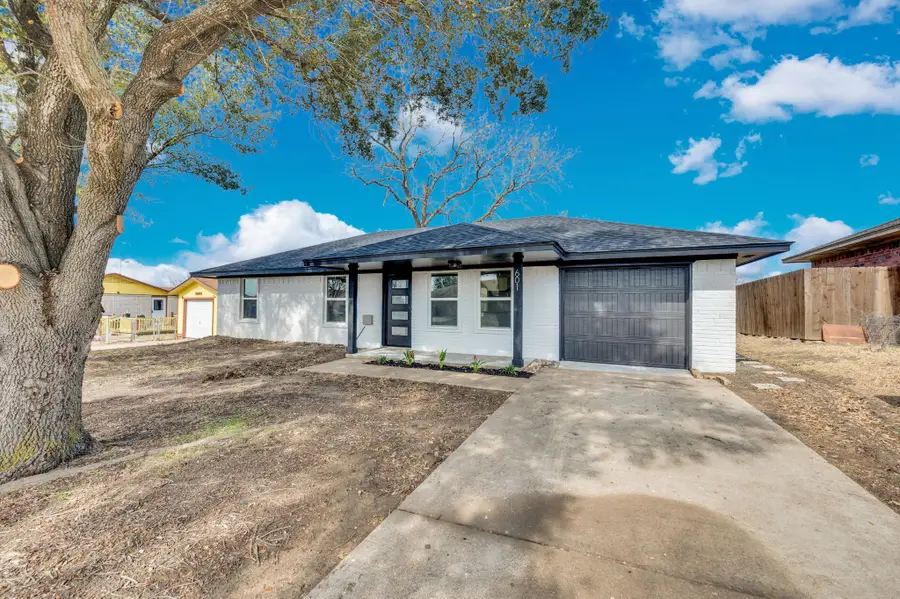 601 Valleyview Street, Ellis, TX 75125 - #2