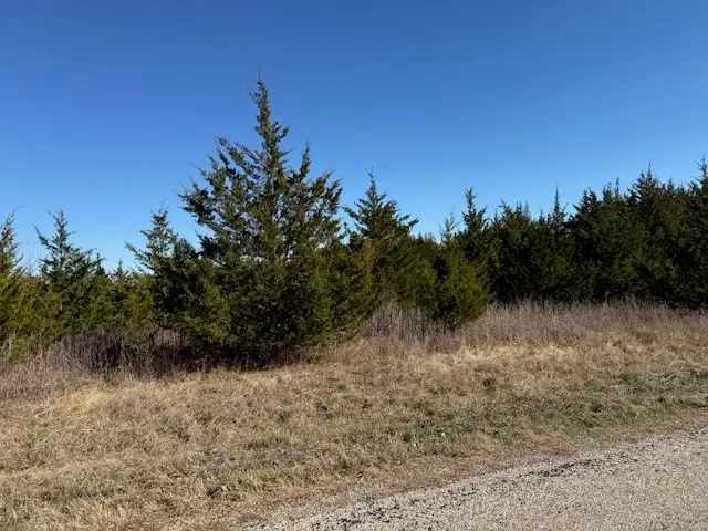 LOT 4 Cr 43380, Paris, TX 75462 - #3