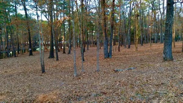 TBD Hickory Trail #(11E), Flint, TX 75762