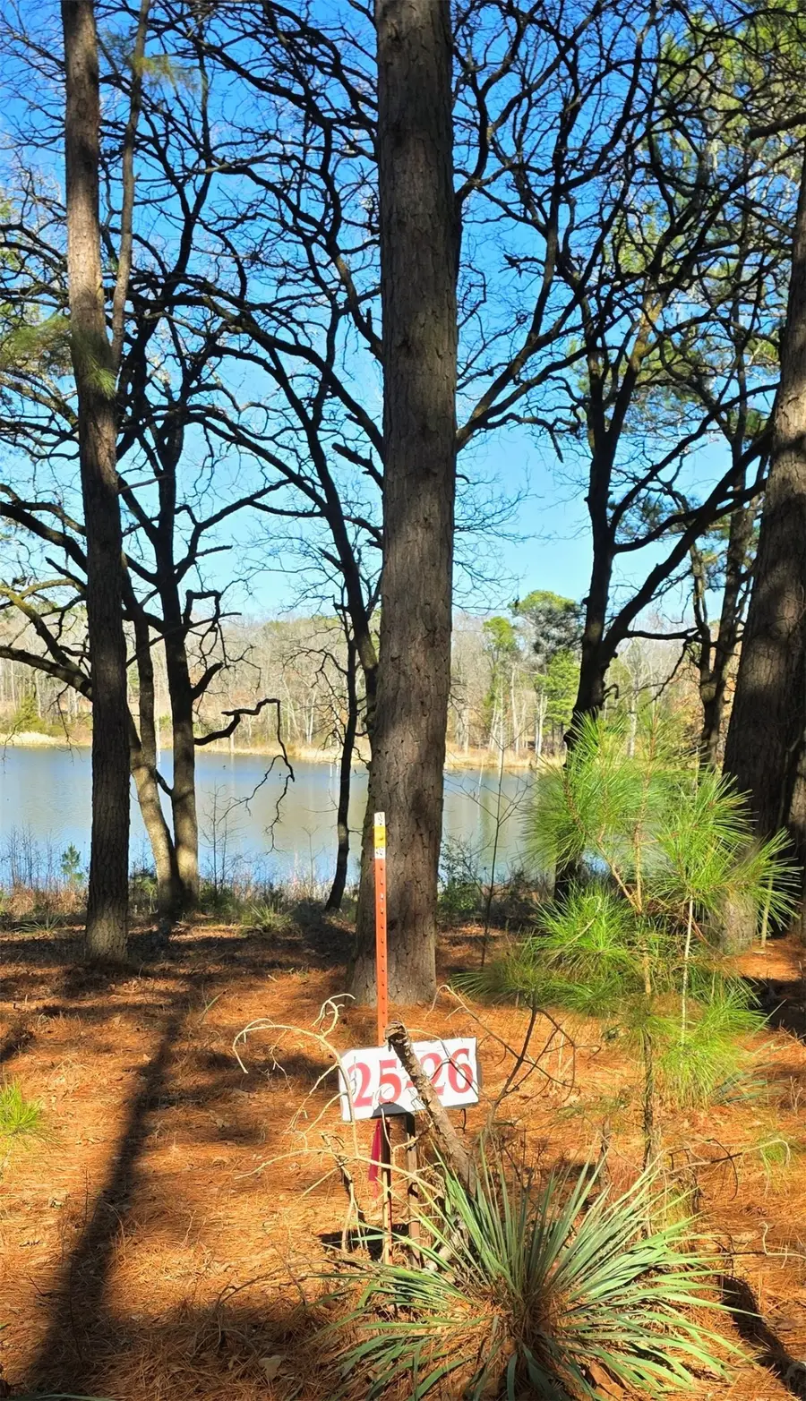 25 Private Rd 6307, Mineola, TX 75773 - #3