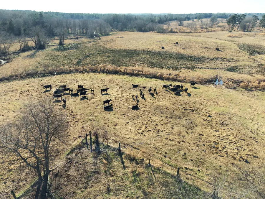 TBD Squirrel Road, Pittsburg, TX 75686 - #3