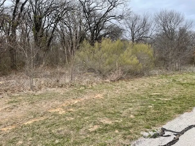 8407 Southern Shore Court, Kemp, TX 75143 - #3