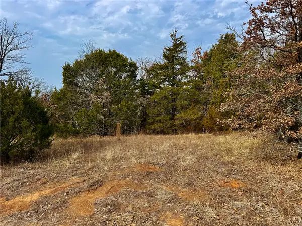 TBD County Road 106, Whitesboro, TX 76273