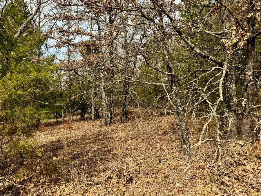 TBD County Road 106, Whitesboro, TX 76273 - #2