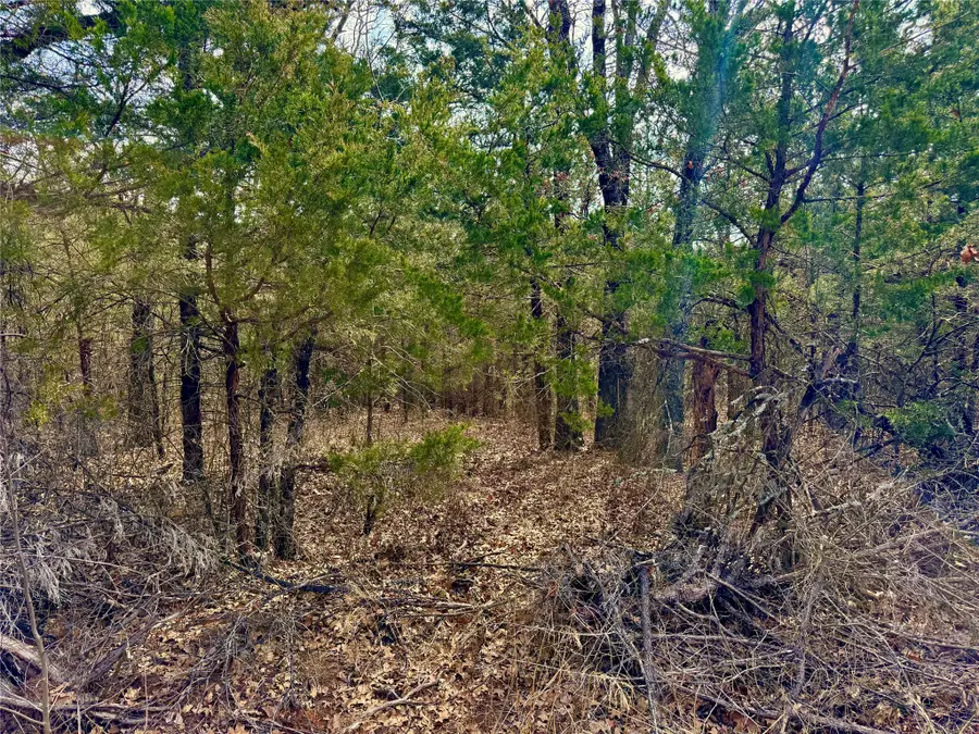 TBD County Road 106, Whitesboro, TX 76273 - #3