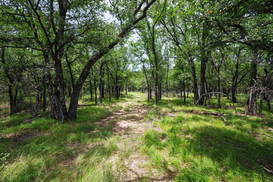 26.02 AC N Fm 129, Santo, TX 76472 - #2