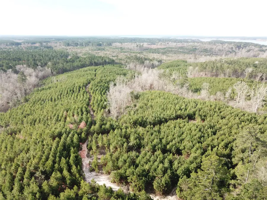 00 Off Mcmanus Road, Zwolle, LA 71486 - #3