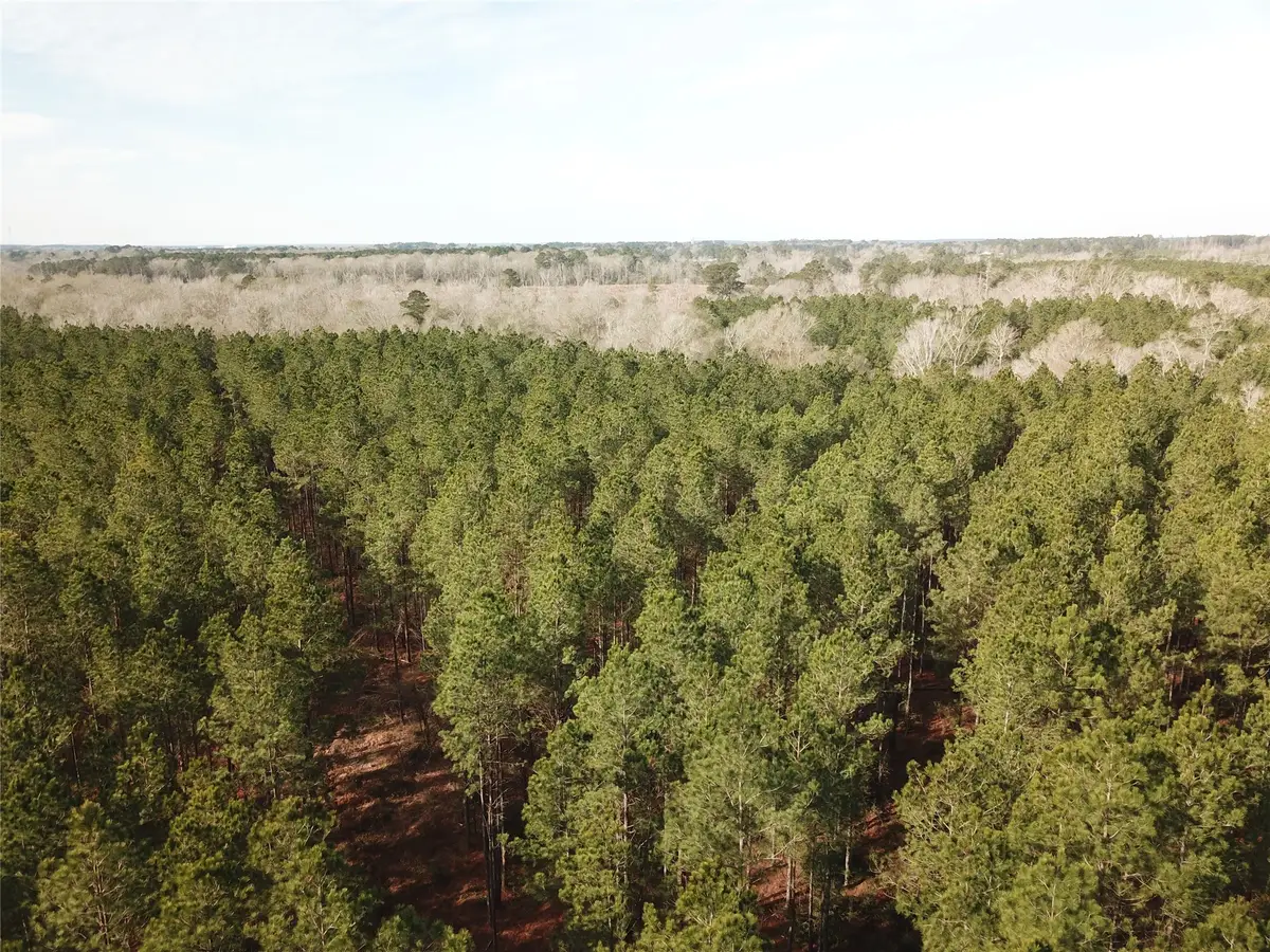 00 Off Countree Road, Zwolle, LA 71486 - #1