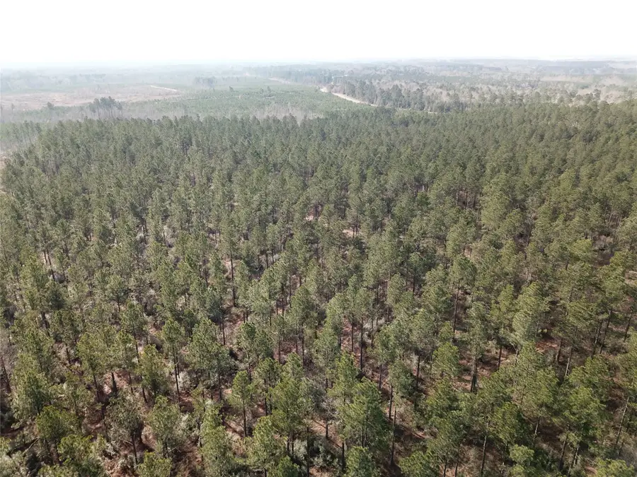 00 Old Pleasant Hill Road, Zwolle, LA 71486 - #3