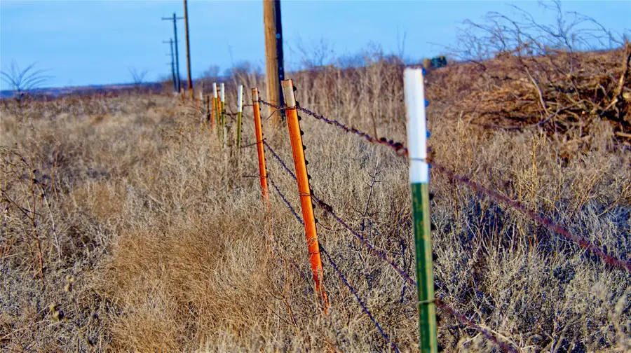 TBD Fm-103, Nocona, TX 76255 - #2