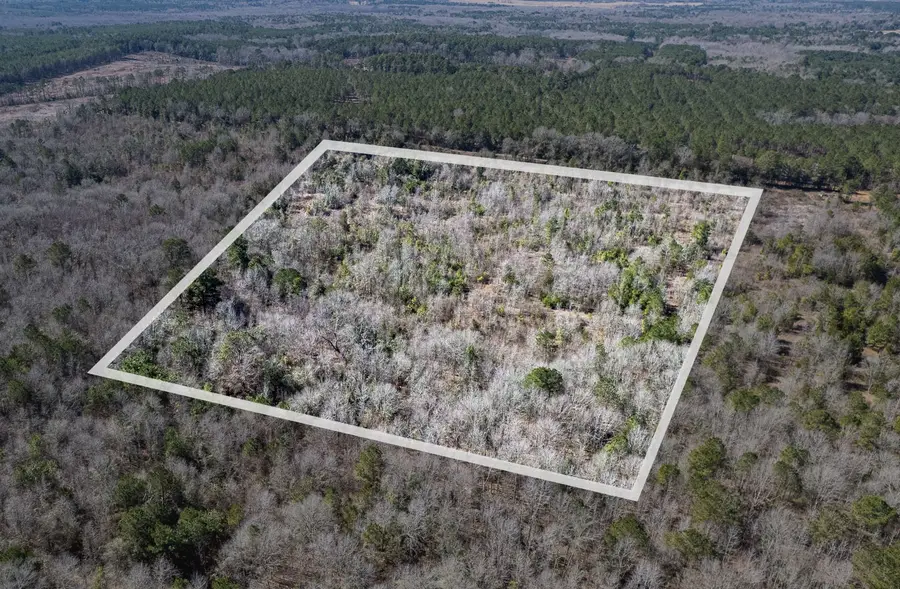 TBD County Road 2752, Naples, TX 75568 - #2