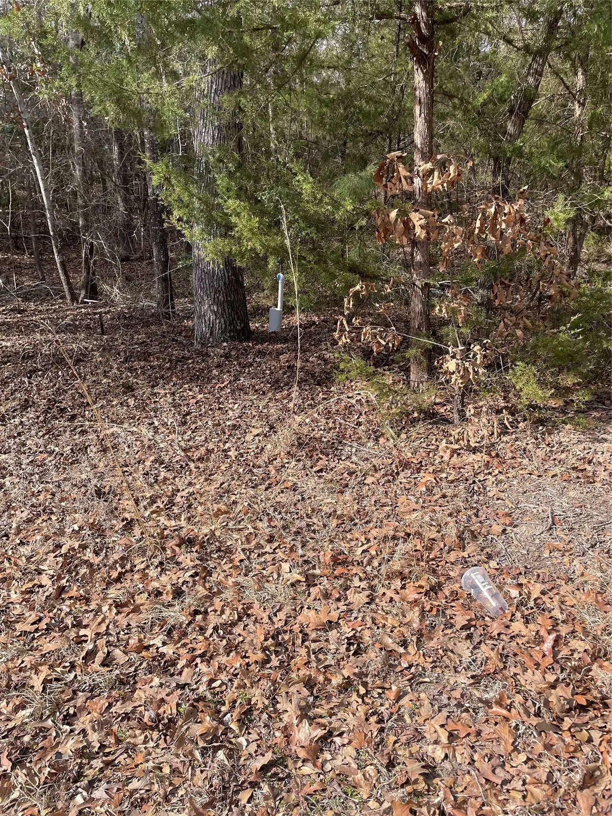 TBD Wildwood, Murchison, TX 75778 - #1