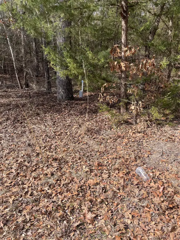 TBD Wildwood, Murchison, TX 75778