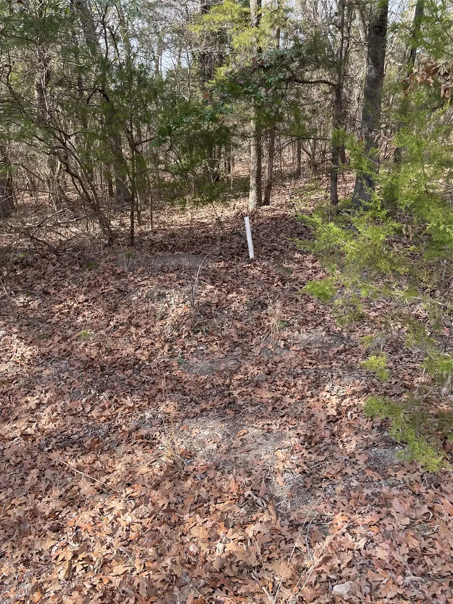 TBD Wildwood, Murchison, TX 75778 - #2