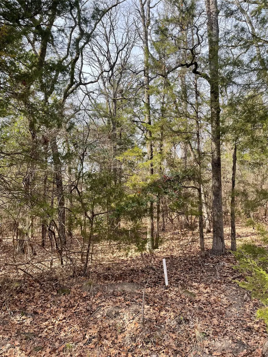 TBD Wildwood, Murchison, TX 75778 - #3