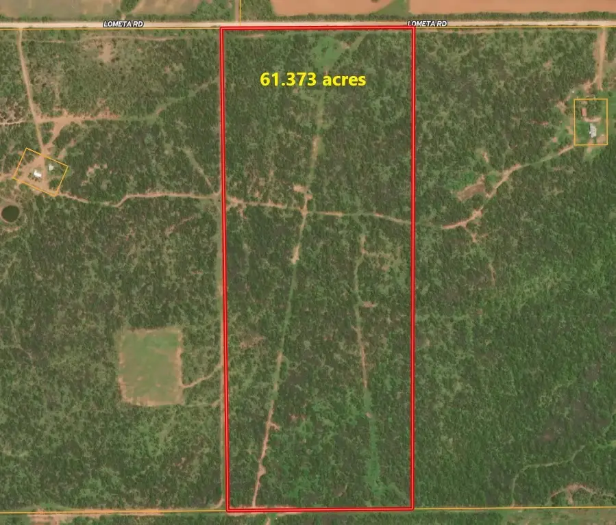 1000 Lometa Road, Bronte, TX 76933 - #2