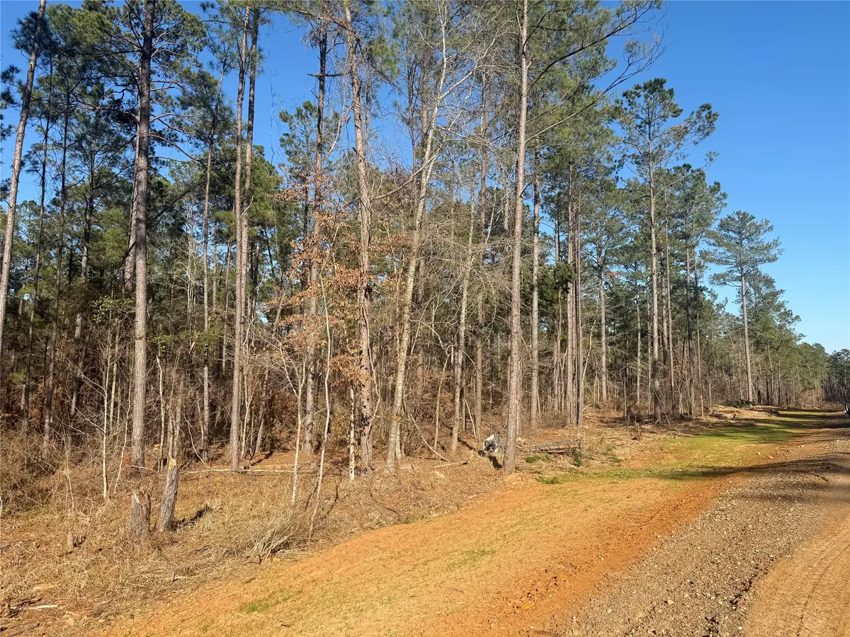 Lot 10 King Estate Lane, Ruston, LA 71270 - #1