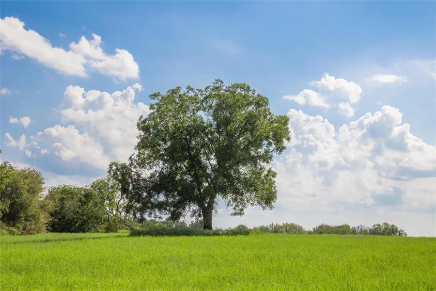 TBD County Road 452, De Leon, TX 76444 - #3