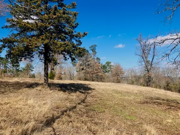 TBD Ridgeline Loop, Winona, TX 75792