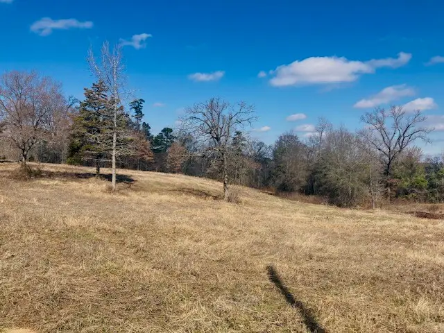 TBD Ridgeline Loop, Winona, TX 75792 - #3