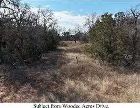 TBD Lot 169 PH 3 Wooded Acres, Palo Pinto Santo, TX 76067 - #3