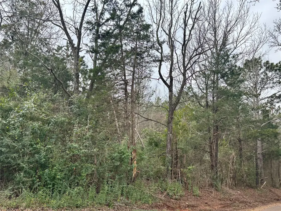 4451 County Road 3206 W, Mount Enterprise, TX 75681 - #2