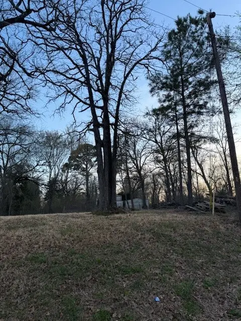 125 Lynn Creek Drive, Mabank, TX 75156 - #2