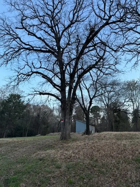 125 Lynn Creek Drive, Mabank, TX 75156 - #3